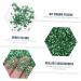 HAKIDZEL 1 Glass Chip Rhinestones for Nails Nail Art Crushed Glass Nail Sequins Ornaments Glass Chips in Bulk Resin Fillers Metal Filler DIY Epoxy Resin Nail Art Charms Nail Stone Irregular 0.5X0.3cm Green - Buy Online on GoSupps.com
