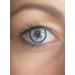 Shop Maskworld Infected Contact Lenses - No Prescription Unisex Annual Lenses for Halloween Carnival & Horror Events - Buy Online on GoSupps.com