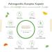 Ashwagandha KSM-66 Complex | 180 Vegan Capsules | 1060mg Daily Dose | Premium Quality & Lab Tested - Buy Online on GoSupps.com