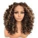 16 MITIMTES Omber Honey Blonde Highlight Curly Lace Front Wig - Pre Plucked Human Hair Blend Synthetic Wig for Black Women - Buy Online on GoSupps.com