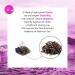 Real Taste English Afternoon Black Tea With Natural Bergamot Flavouring 20 x 2.5 in Pyramids - Buy Online on GoSupps.com