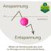 2x Biodegradable DBT Skills Hedgehog Ball | Magnetic Stress Relief Acupressure Ball | Improve Mobility & Concentration | Pink 32mm - Buy Online on GoSupps.com