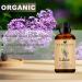 Organic Lilac Essential Oil - 100% Pure 30ML | Aromatherapy Diffuser - Natural Lilac Oil with Dropper - Buy Online on GoSupps.com
