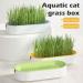 Cat Grass Set - Hydroculture Plant Container for Cats | Dirt-Free Odorless Anti-Grave Design & Easy Planting - Available in 3 Colors - Buy Online on GoSupps.com