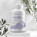 CurcuSorb Turmeric Curcumin Supplement: 90-Day Supply for High Absorption | Clinically Studied Complex | Turmeric Capsules - Buy Online on GoSupps.com
