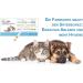 One+Step Cat Health Test - Quick Urine Kidney Check at Home - 1 Piece for Pet Health - Buy Online on GoSupps.com