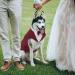 Buy Kuoser Dog Smoking Suit & Bandana Set - Stylish Pet Formal Clothing for Weddings Halloween & Birthdays - S-XXL (Back Length: 29 cm) - Dark Red - Buy Online on GoSupps.com