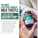 SoActive Milk Thistle Phytosome with Bilear Artichoke Extract | 60 Servings - Buy Online on GoSupps.com