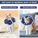 Cobee Soft Cat Cone Collar Protective Cute Small Cat Recovery Collar Adjustable Fasteners Collars for Kittens Cats E-Collars After Surgery Protective Wound Healing Fit 6.3"-9" Neck Circumference Planet - Buy Online on GoSupps.com