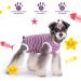 Recovery Suit for Dog Puppy Medical Surgical Suit Pet Anti-licking Surgery Suit Dog Surgical Recovery Suit Dog Surgical Onesie Suit Dog Surgical Vest for Abdominal Wounds (Purple M) M Purple - Buy Online on GoSupps.com