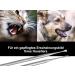 Buy Dog Tartar Remover Set - 2-Part Stainless Steel Tooth Cleaner for Pets | Effective Tartar Scraper & Specialist Retailer - Buy Online on GoSupps.com