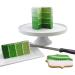 PME Paste Colour Pea Green 25 g (Pack of 2) - Buy Online on GoSupps.com