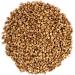 Wholefood Earth Organic Roasted Buckwheat 3 kg - GMO Free, Vegan, High Fiber | Certified Organic - Buy Online on GoSupps.com