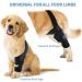 Dog Knee Support Brace | Dog ACL Knee Support Brace | Support Dog Knee Brace Neoprene Hip Brace Adjustable Traction Belt for Knee for Cruciate Ligament Injury for Torn ACL Leg M left - Buy Online on GoSupps.com