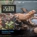 RUIZHI 2 Pack Mini Digital Hygrometer Thermometer Temperature Humidity Thermometers with Gauge Meter Probe for Reptile Aquarium Greenhouse Office - Buy Online on GoSupps.com