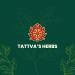 Aphrodisiac Massage Oil for Couples | Tattva's Herbs - Enhance Intimacy & Relaxation with Agarwood Ashwagandha & Cinnamon - Buy Online on GoSupps.com