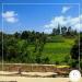 Organic Kenya AA Nyeri Reserve Green Coffee Beans - 3 lb - Specialty Arabica - Buy Online on GoSupps.com