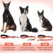 Vivaglory Short Dog Leash for Medium & Large Dogs - 61cm Traffic Leash | Orange Training Line - Buy Online on GoSupps.com