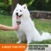 Peteola 2-Sided Undercoat Rake for Cats & Dogs - Shedding Tool for Safe Grooming - Orange - Buy Online on GoSupps.com