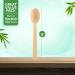 Eco-Craze (1000 Count) Bamboo Disposable Spoons 100% Natural & Biodegradable Alternative to Plastic Spoons Compostable Bamboo Spoon for Party - Buy Online on GoSupps.com