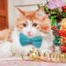 Shop Cute Breakaway Cat Collars with Bells - Personalized Neck Bands for Kittens & Puppies in Blue & Black - Ideal for Small Pets - Buy Online on GoSupps.com