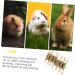 BESPORTBLE Pet Teething Treat Wooden Oral Chewing Playthings Bunny Chewing Playthings - Buy Online on GoSupps.com