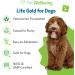 Pet Wellbeing Life Gold for Dogs - Supports Detoxification & Immune System Health with Astragalus & Sheep Sorrel - NASC Certified & Vet-Formulated - 4 oz Liquid Formula 4 Fl Oz - Buy Online on GoSupps.com