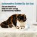 Buy Pawsayes Butterfly Cat Toy - Interactive Electrical Rotating Toy for Indoor Cats | 4 Refill Packs for Hunting & Training - Buy Online on GoSupps.com