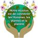 Pukka - Pack Trois Menthes et Menthe Poivr e et R glisse Infusions Biologiques et Ayurv diques 100% des Ingr dients Issus du Commerce quitable Lot de 8x20 sachets 160 Sachets - Buy Online on GoSupps.com