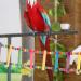UEETEK Colorful Ladder Bird Toy 12-Step Flexible Ladders Wooden Rainbow Bridge Swings for Parrots Pet Trainning (Random Color) - Buy Online on GoSupps.com