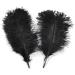10pc Black Ostrich Feather Plume 12-14 inch for Home Wedding Decor - Buy Online on GoSupps.com