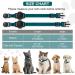 Royal Blue Airtag Cat Collar with Safety Lock & Elastic Band for Kittens (18-26cm) | Shop Now - Buy Online on GoSupps.com