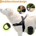 Buy Eeyfarog No Pull Dog Harness for Small & Medium Dogs - Adjustable Reflective Safe - Pink (Size S) | International Shipping Available - Buy Online on GoSupps.com