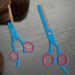 Professional Hairdressing Hair Thinning Scissor Barber Hairdresser Beautician Hair Salon Scissors (Blue Thinning 6.0") - Buy Online on GoSupps.com