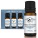 Essential Oils Set of Health Optima Natura Four Thieves Oil Lavender Eucalyptus 100% Natural Fragrance Oils 3x10ml