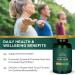 Swanson Real Food Folic Acid 1000mcg - Vitamin B-9 for Cardiovascular and Prenatal Health - Vegan, Gluten-Free, Non-GMO - 100 Veggie Capsules - Buy Online on GoSupps.com