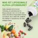 Cheroline Liposomal Alpha Lipoic Acid 1500 mg Soft Capsules - High-Dose ALA Acetyl L-Carnitine 900 mg Ubiquinol 100 mg & Vitamin E 15 mg - Energy Support 120 pcs (2-Pack) - International Shipping Available - Buy Online on GoSupps.com