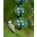 Fat Balls For Wild Birds - Jacobi Jayne Chunky Dumplings Premium Suet Balls - Pack Of 18 x 100g - High Energy Fat Balls Wild Bird Food Feed To Attract Small Wild Birds Year Round Beef Pack of 18 - Buy Online on GoSupps.com