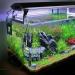 Aquarium Heaters for Small Tanks | 10W Aquarium Heater | Submersible Aquarium Heater for 1 Gallon Built-in - Buy Online on GoSupps.com