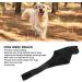 Dog Knee Brace for Hind and Rear Leg Knee Brace for Dog Support for Dog ACL CCL Cruciate Ligament Injury Joint Pain and Muscle Sore(XL/Left) - Buy Online on GoSupps.com