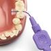 TEPE 1.1mm Size 6 Interdental Brush 8 Count - Violet | Pack of 1 - Buy Online on GoSupps.com