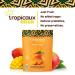 Organic Dried Mango Pack - Healthy Vegan Snacks for Kids & Adults | Tropicaux Reign | Non GMO, No Added Sugar | 3oz x 2 Pack (6oz Total) - Buy Online on GoSupps.com