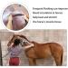 DHinkyoung Horse Massage Comb 6-in-1Horse Hair Brush TPR Horse Grooming Brush Pet Root Brush for Horse Dog and Cat Grooming Shedding - Buy Online on GoSupps.com
