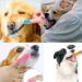 4pcs Dog Toothbrush Dog Finger Toothbrush Dog Toothpaste Finger Toothbrush Dog Dog Toothbrush Finger Cat Toothbrush For Dogs Cats And Small Pets Dental Care Easy Dog Teeth Cleaning - Buy Online on GoSupps.com