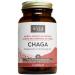 Stay Wyld - Organic Chaga Mushroom Capsules -Natural Cholesterol Level and Immune Support Supplement - 100% Canadian Grown Chaga Fruiting Bodies - Non-GMO Vegan - Mushroom Supplement - 60 Capsules Chaga - Capsules