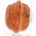Alipis 20pcs Faux Fruit Decor Walnut Ornament Photo Props Walnut Artificial Food Fake Fruit Walnut Background Pretend Play Food Figure Lifelike Nut Ornament Wedding Birthday Present - Buy Online on GoSupps.com