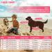 EMUST Shark Dog Life Jacket - Pink Camouflage Vest for Safe Water Adventures | International Shipping - Buy Online on GoSupps.com