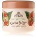 2 x Cyclax Cocoa Butter Rich Body Cream 300 ml
