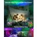 Nineaccy Galaxy Projector Star Night Light with Timer/Voice/APP Control - LED RGB Dimming, 16 Colors for Bedroom Decor & Party Gift (Black) - Buy Online on GoSupps.com