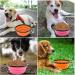 Slson 2-Piece Foldable Dog Bowl Set - Portable Travel Bowls with Carabiners for Water & Food (1000ml Orange & Pink) - Ideal for Dogs Cats & Pets - International Shipping Available - Buy Online on GoSupps.com